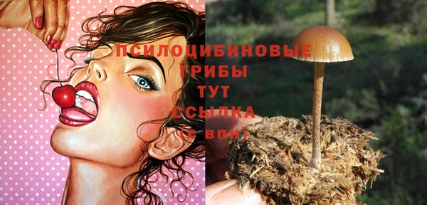 меф Армянск